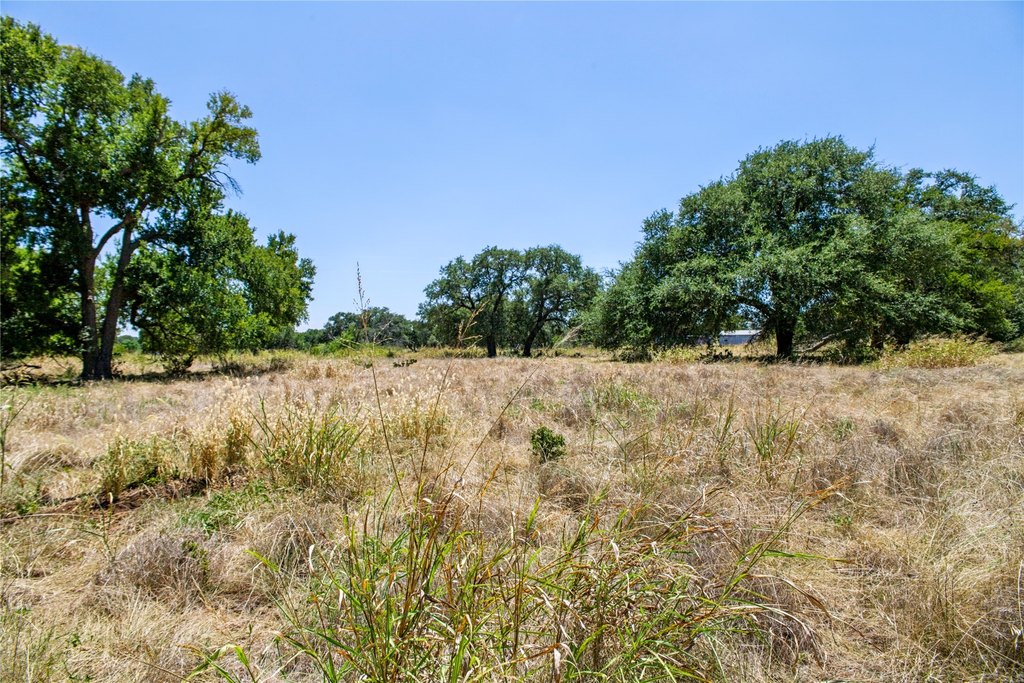 Picture 21