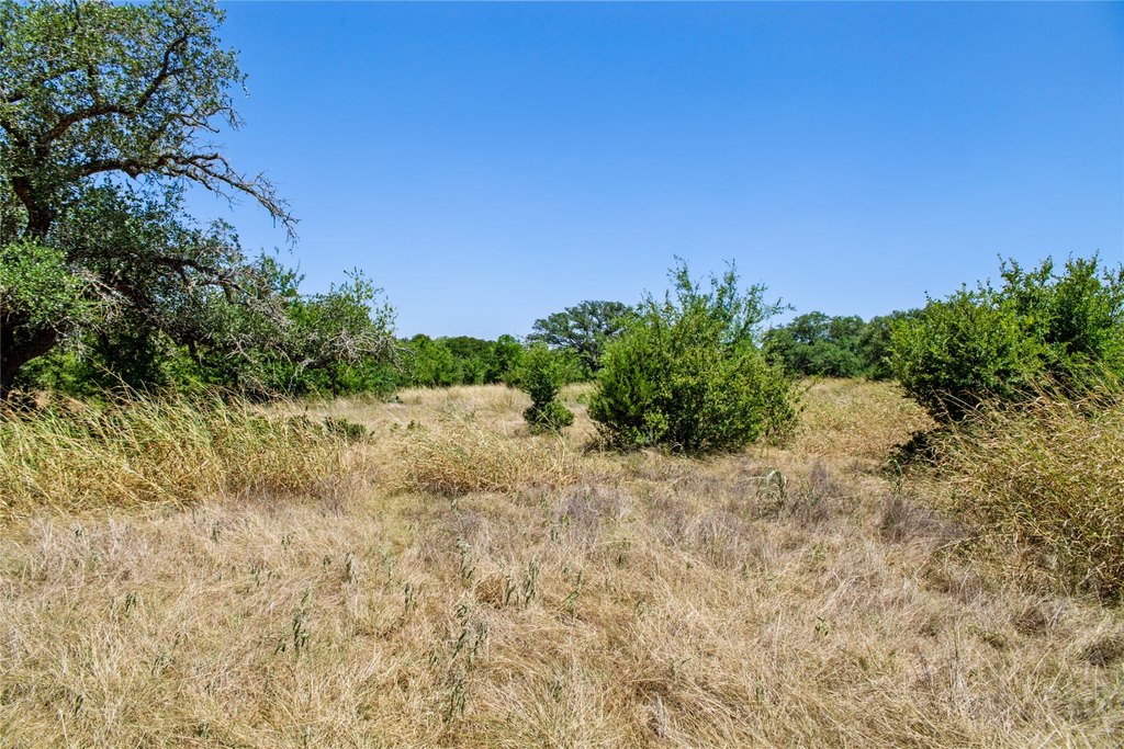 Picture 33