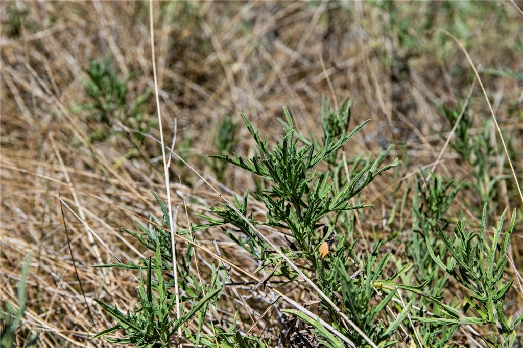 Picture 19