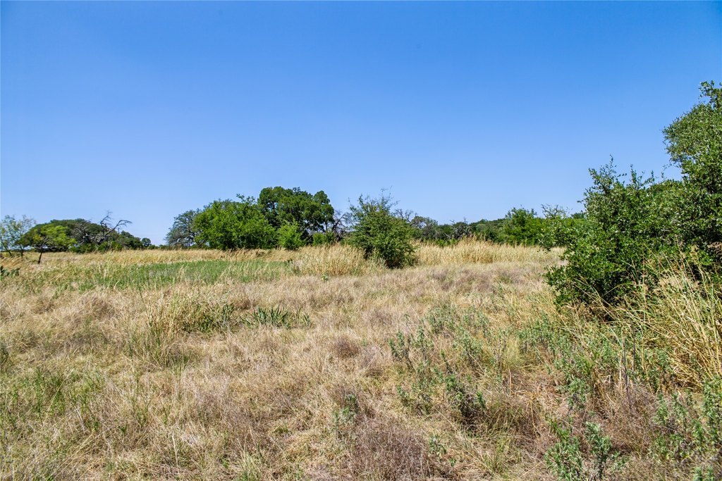 Picture 22