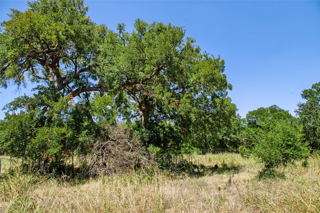 Picture 25