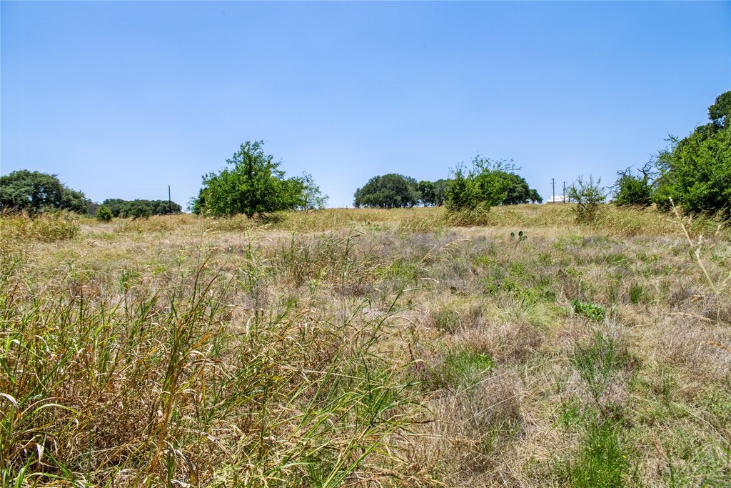 Picture 24