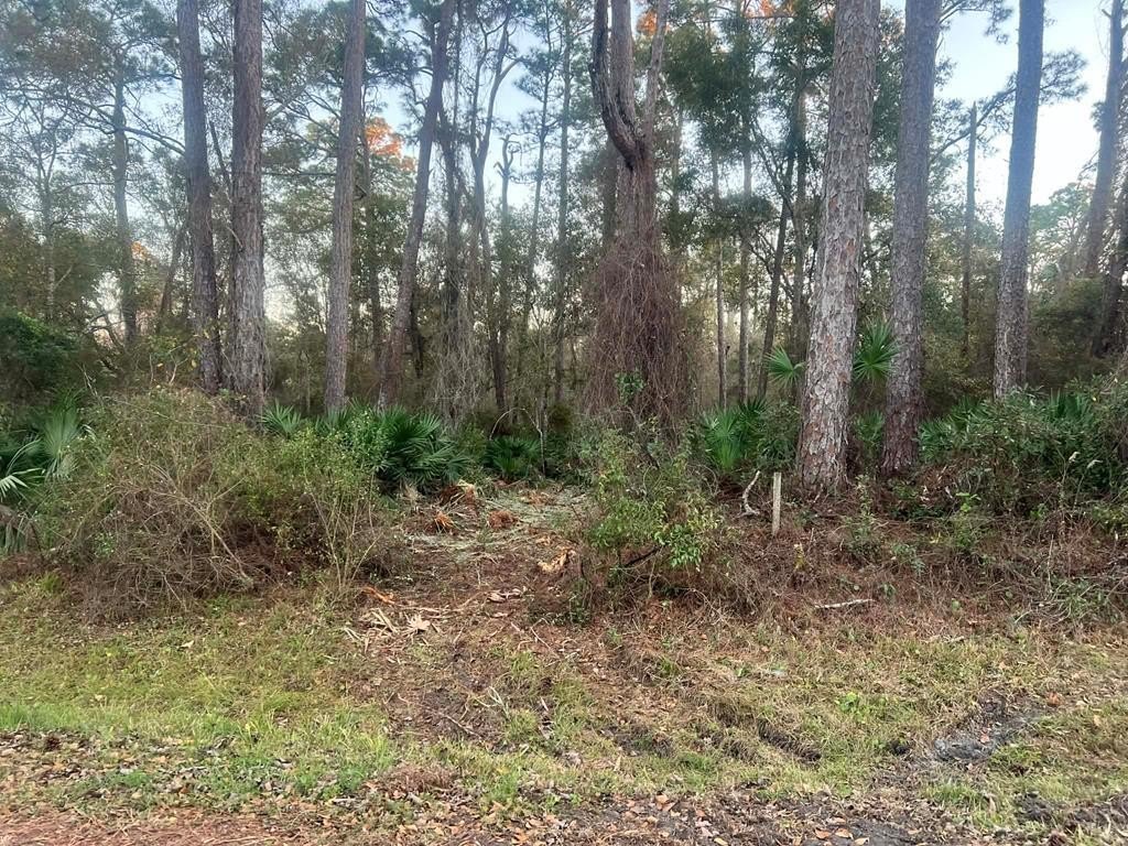 Picture 2