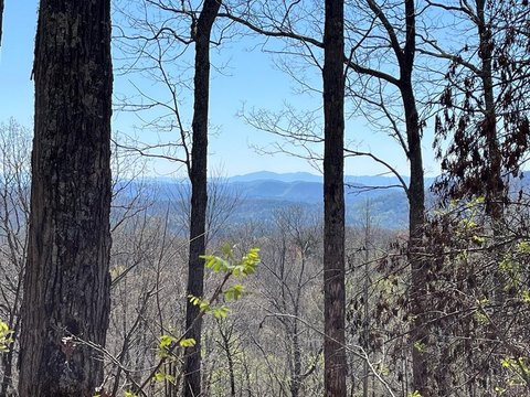 Wooded Lot in Wolf Mountain