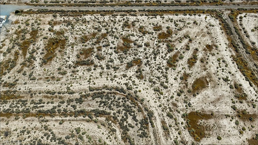 Picture 10