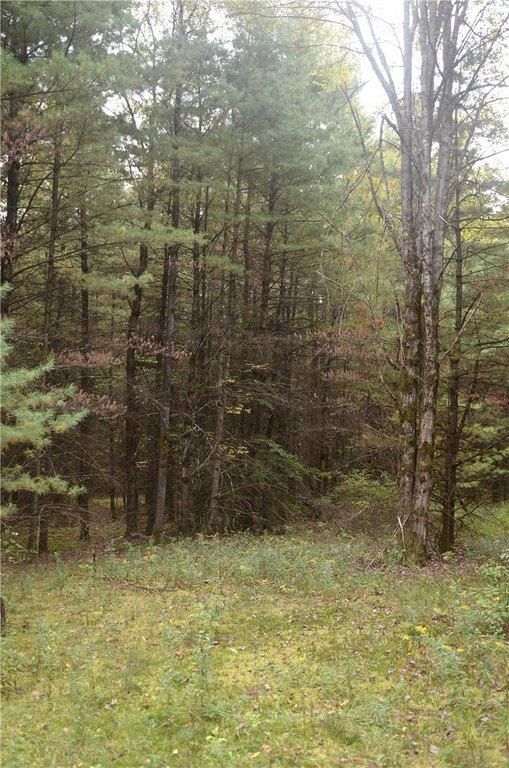 Picture 14