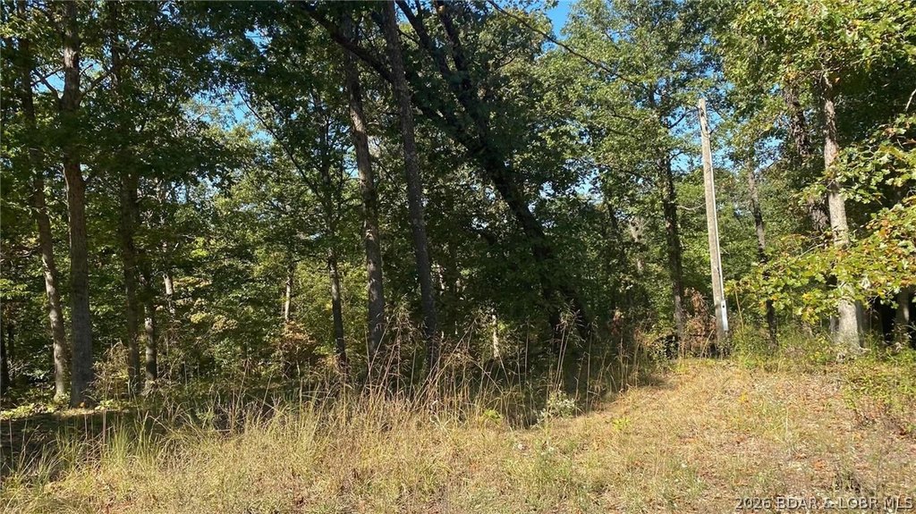 Picture 6