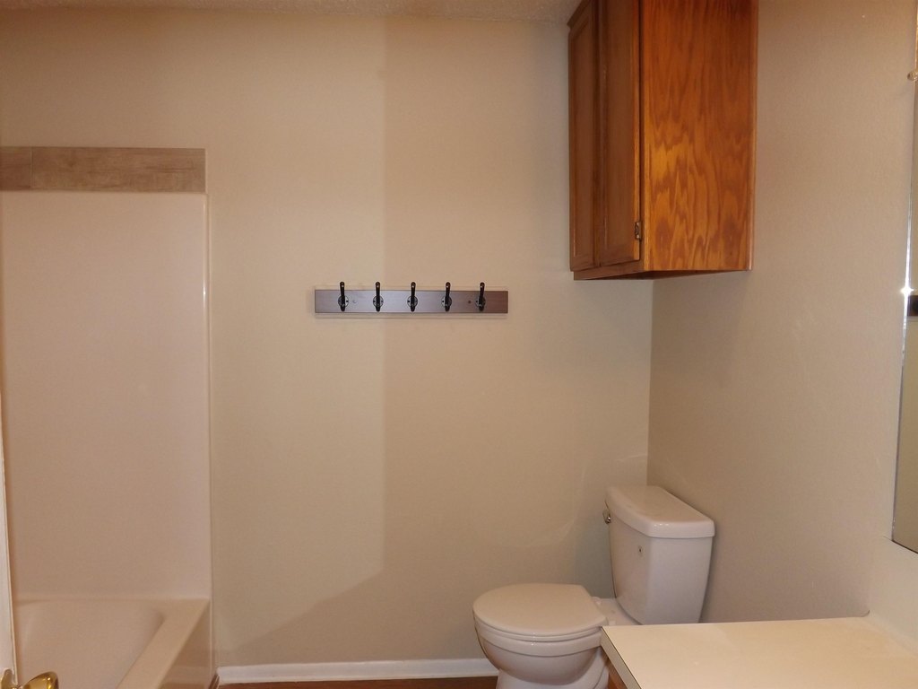 Picture 7