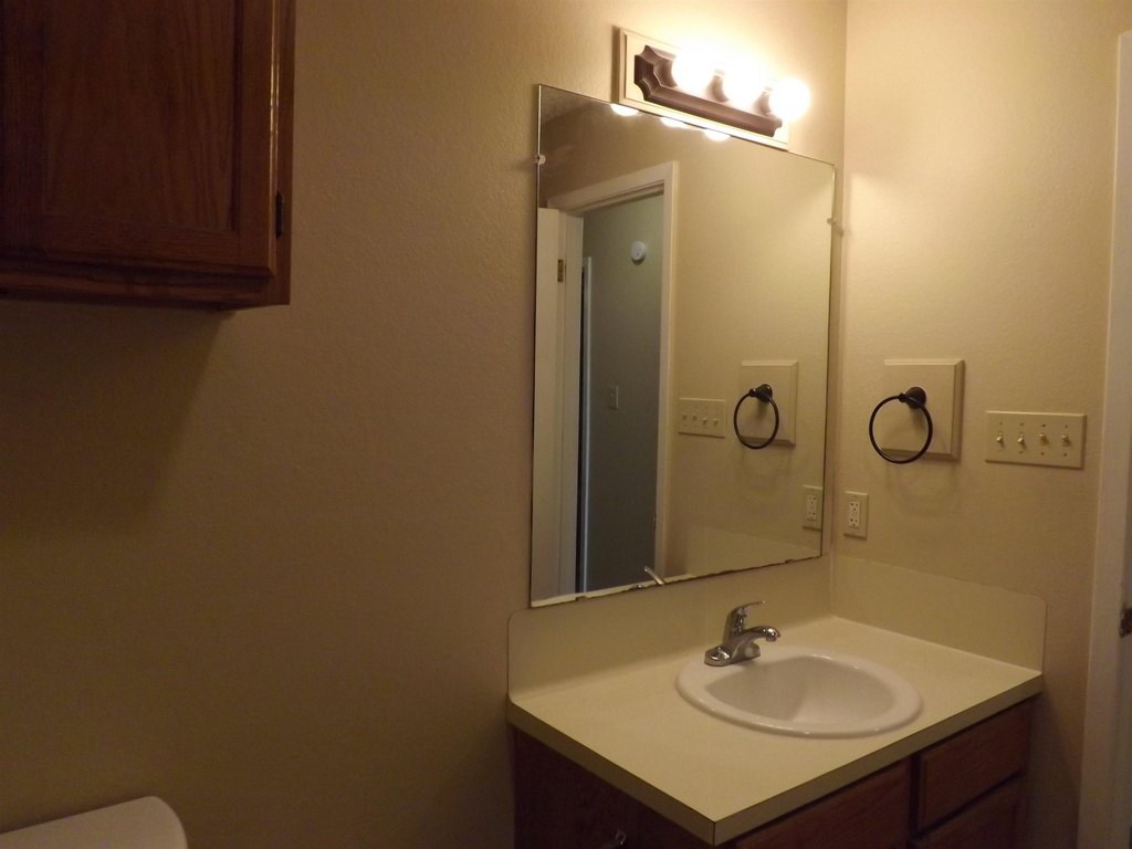 Picture 8