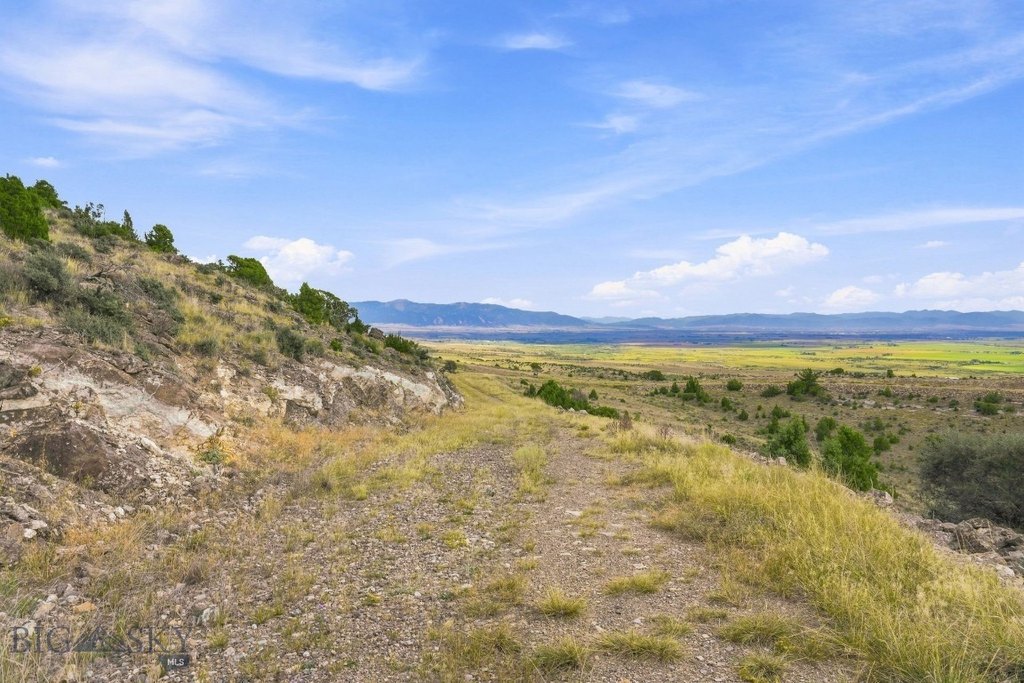 Picture 30