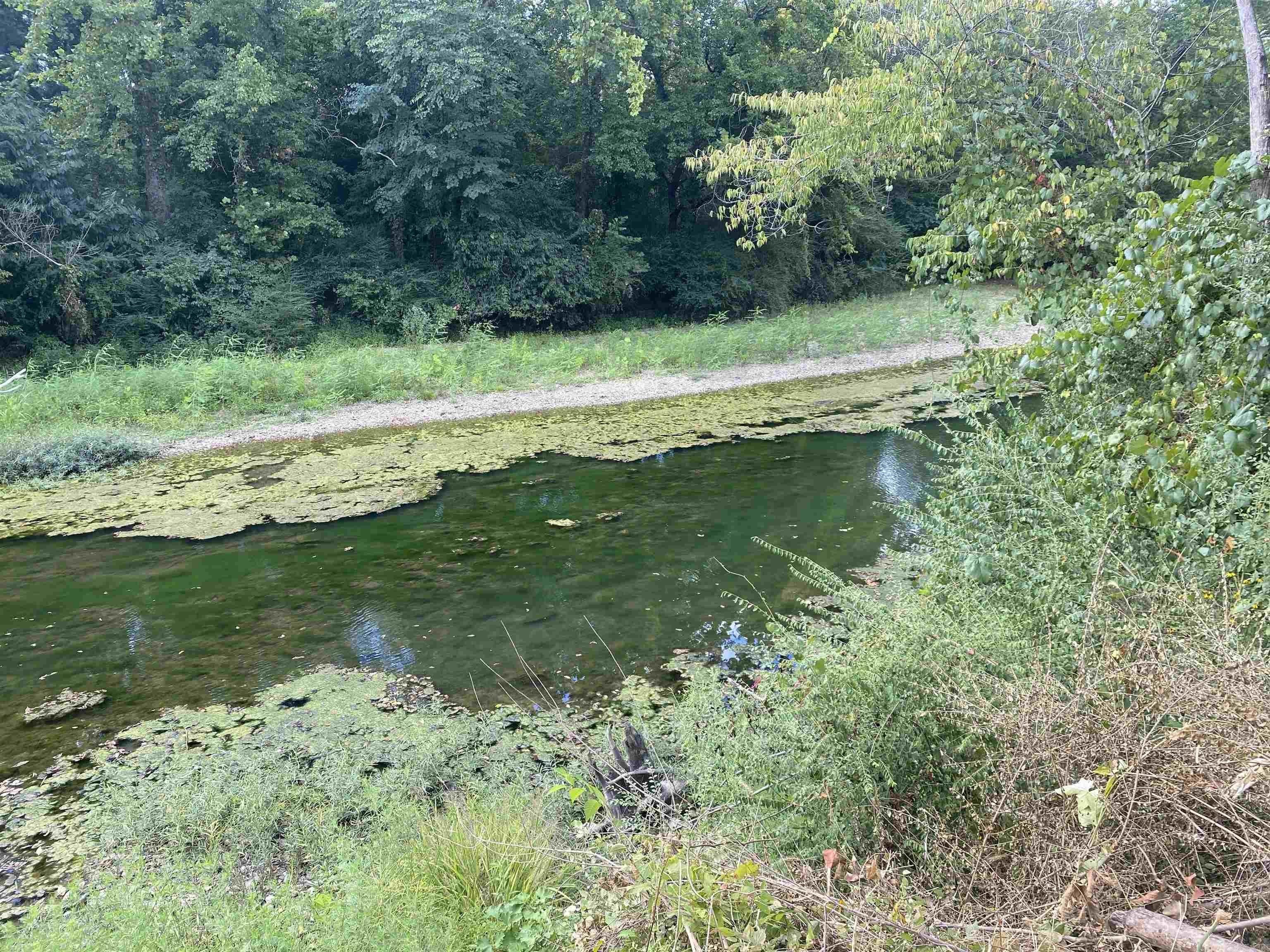 Land Near Ouachita River