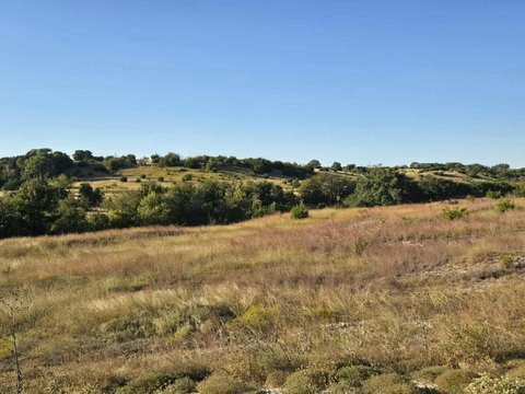 Oglesby, TX Land For Sale
