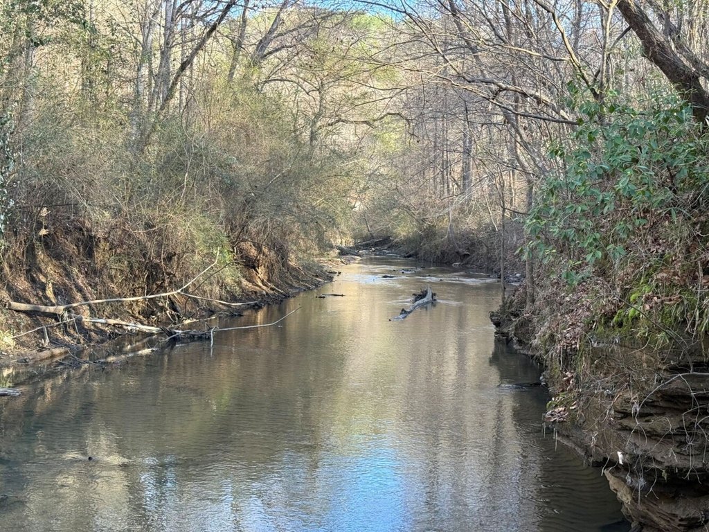 Picture 28