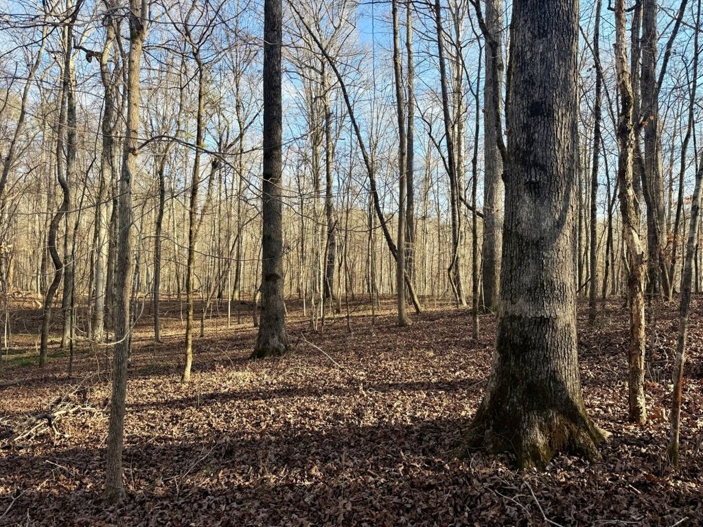 Picture 33
