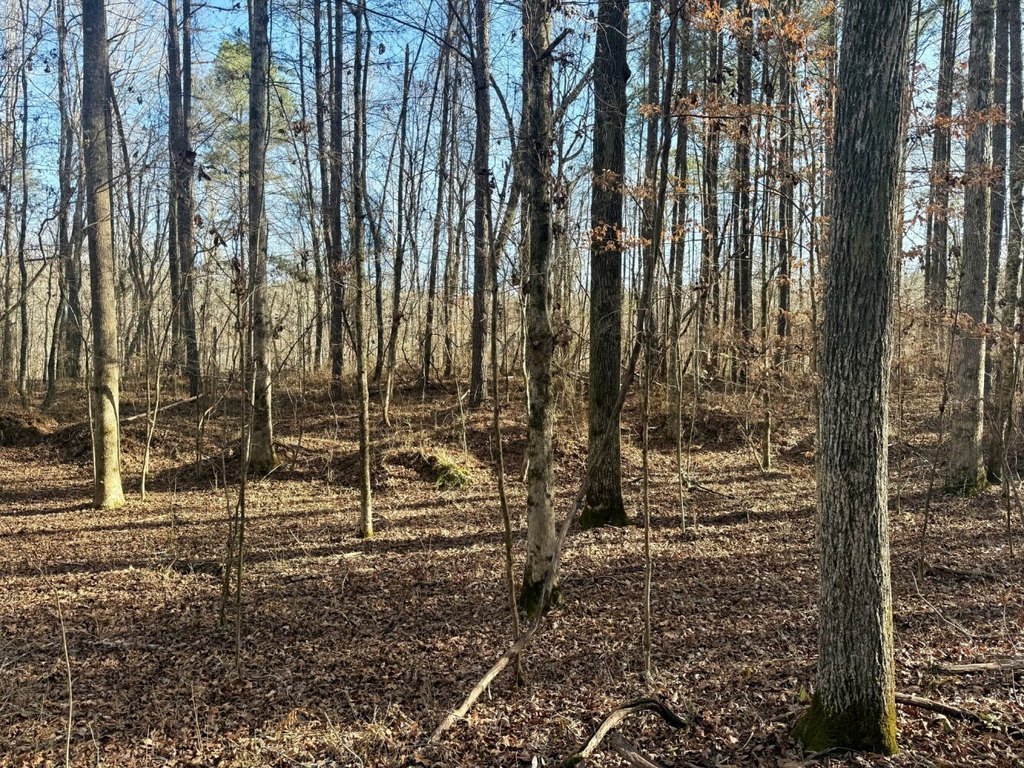 Picture 18