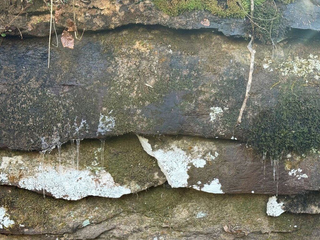 Picture 31