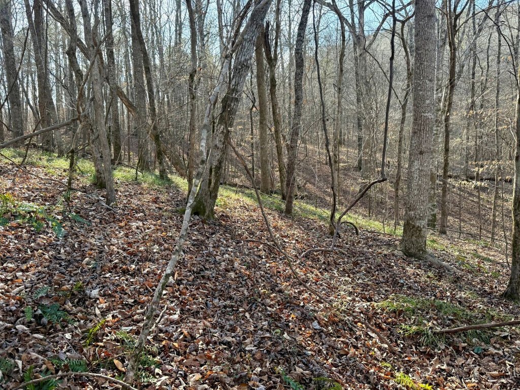 Picture 22