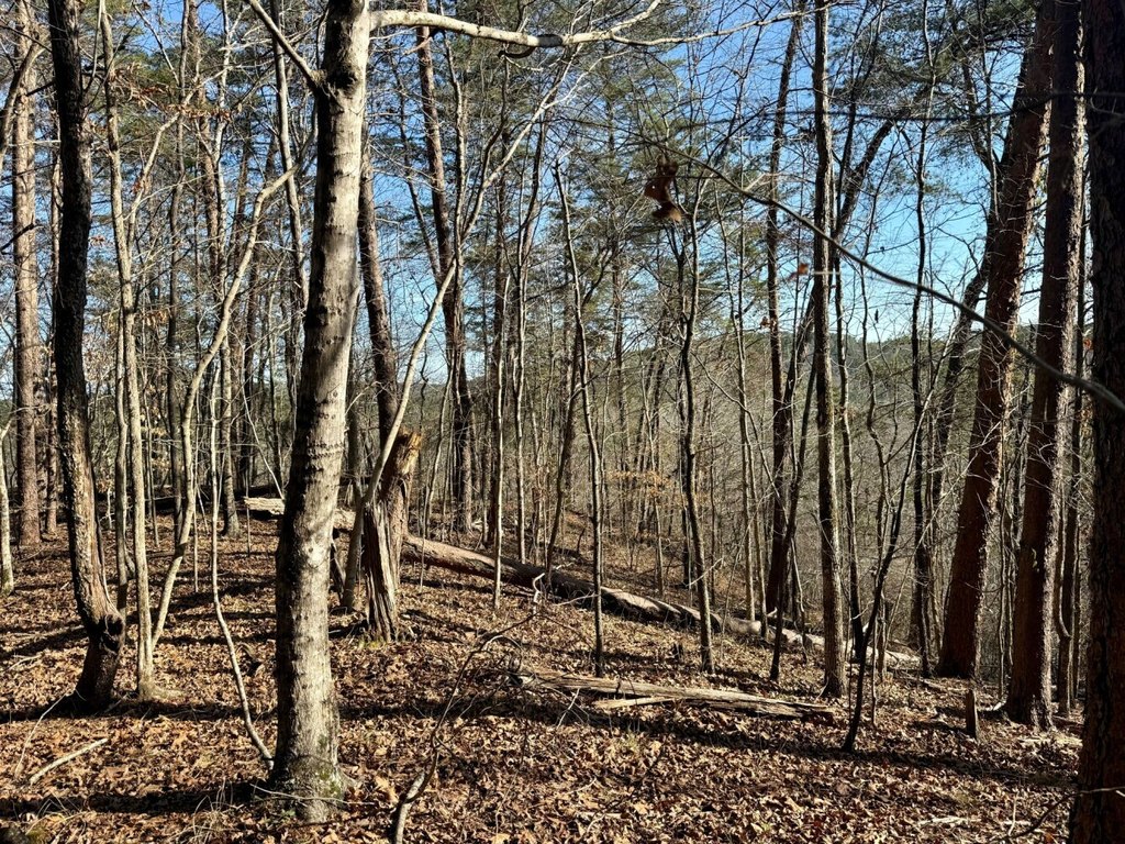 Picture 14