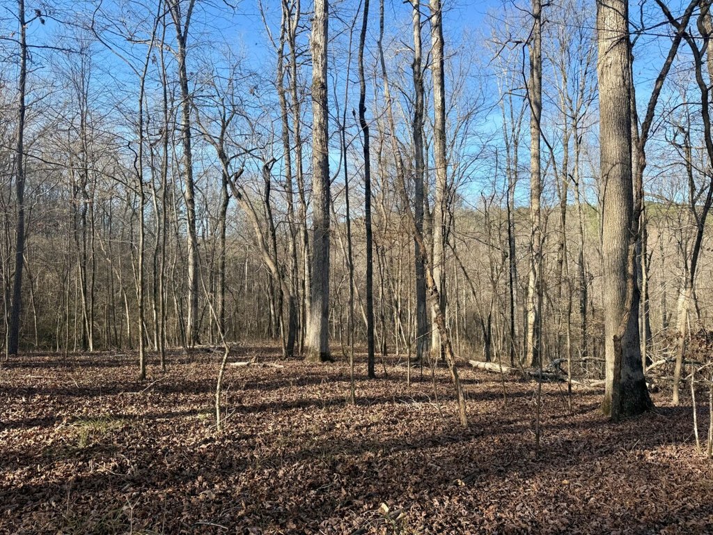 Picture 21