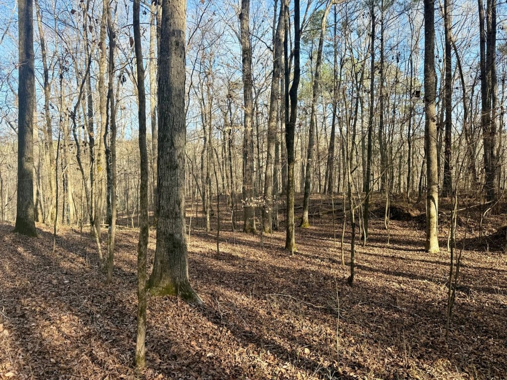 Picture 17