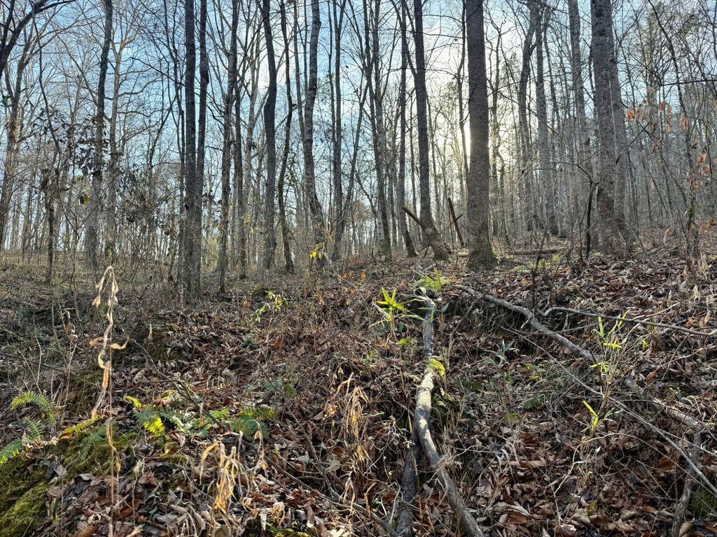 Picture 29