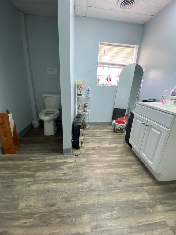 Picture 15