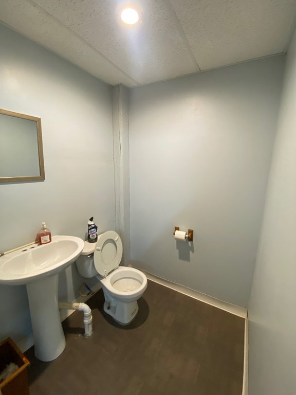 Picture 16