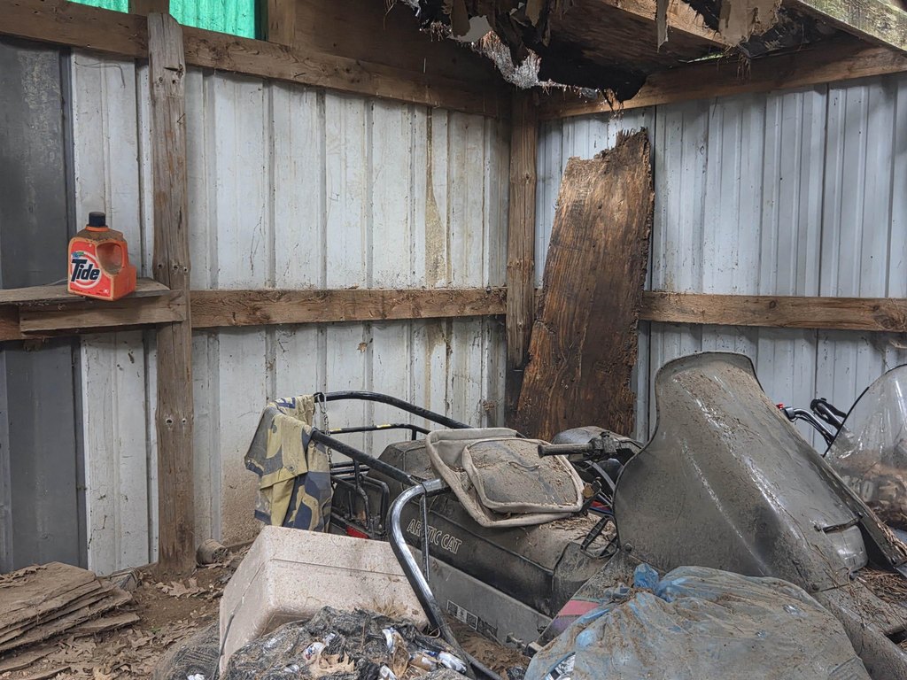 Picture 19