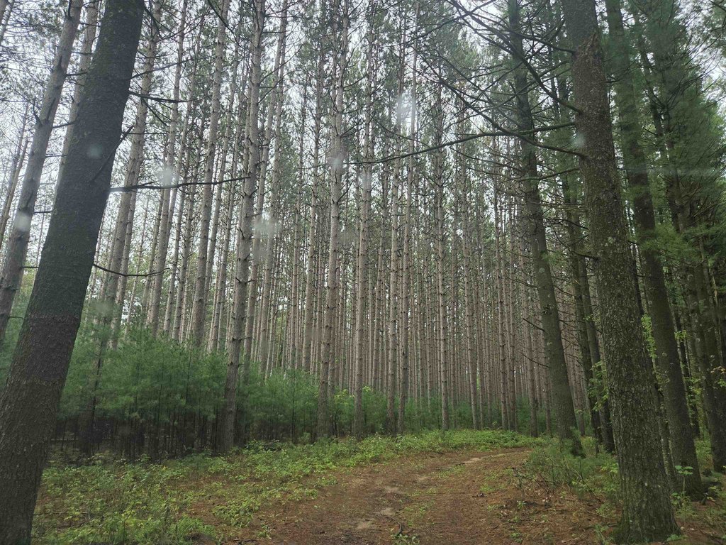 Picture 10