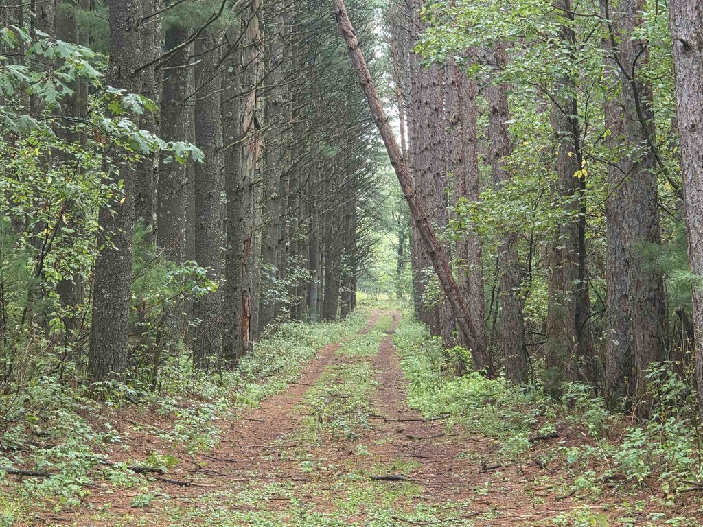 Picture 6