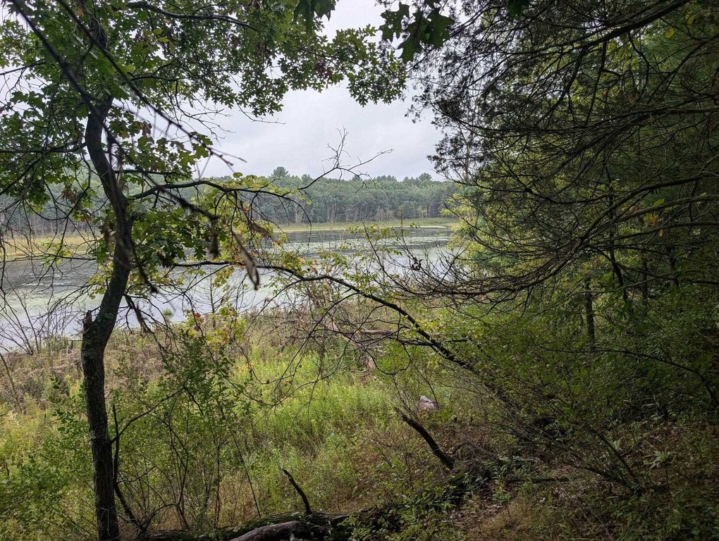 Picture 25