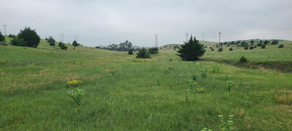 Picture 43