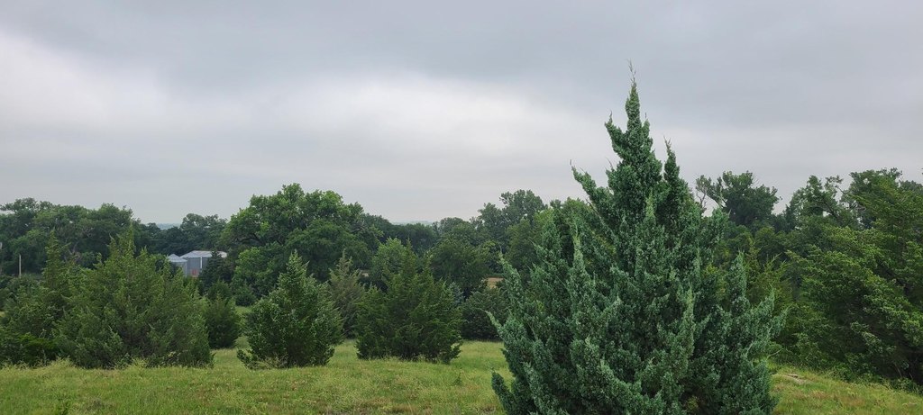 Picture 48