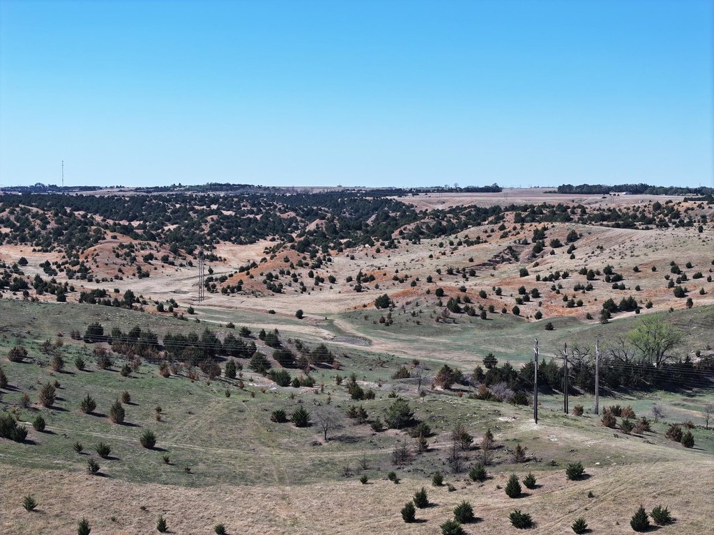 Picture 21