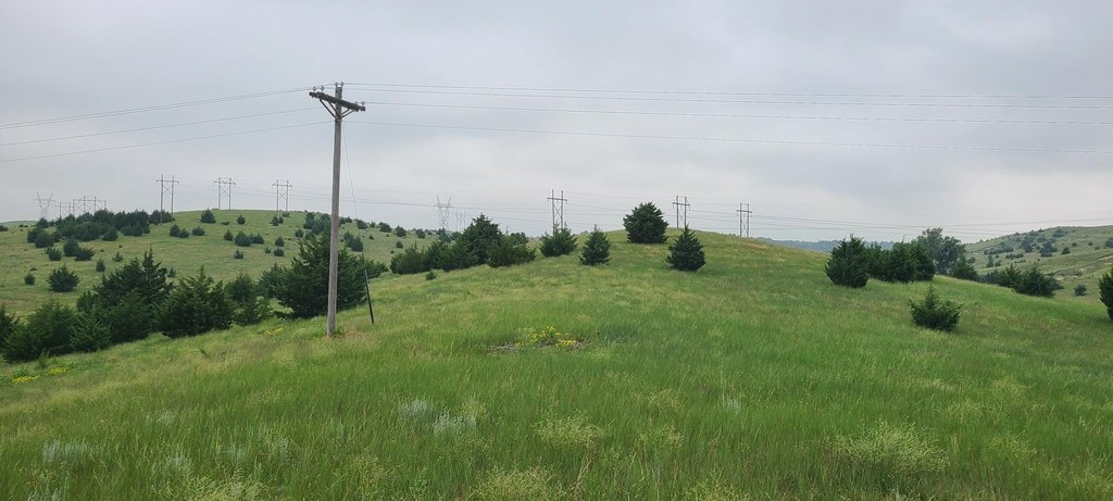 Picture 18