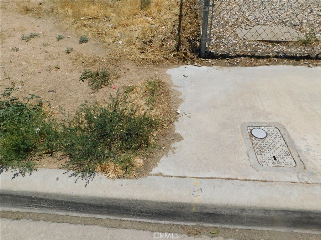 Picture 3