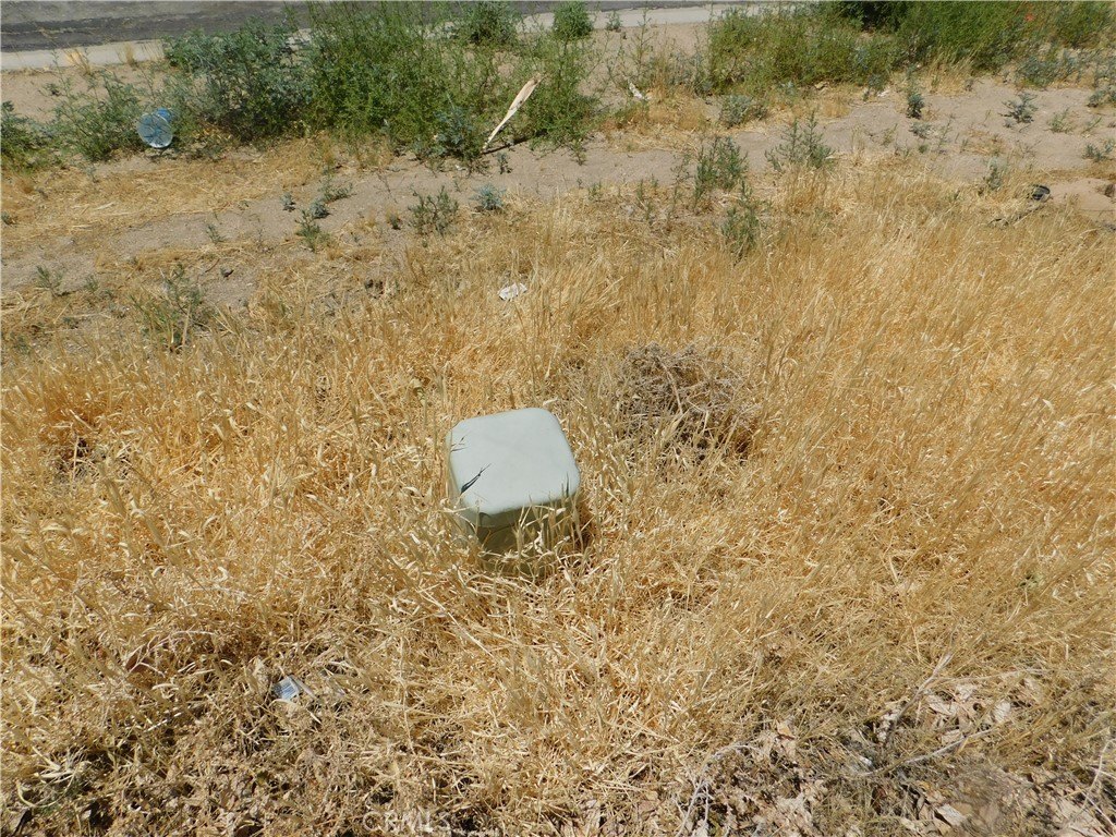 Picture 2