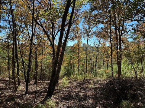 Wooded Land in Cedartown, GA