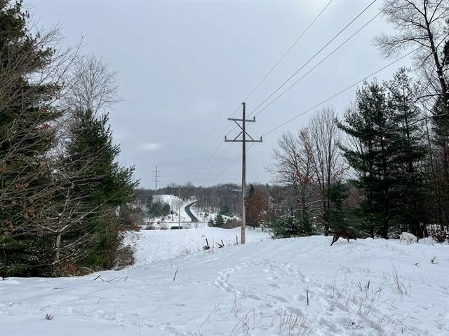 Picture 12