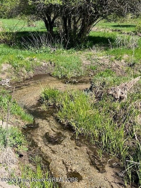 Picture 8