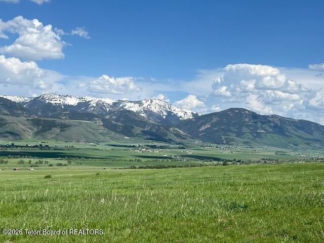 Picture 26