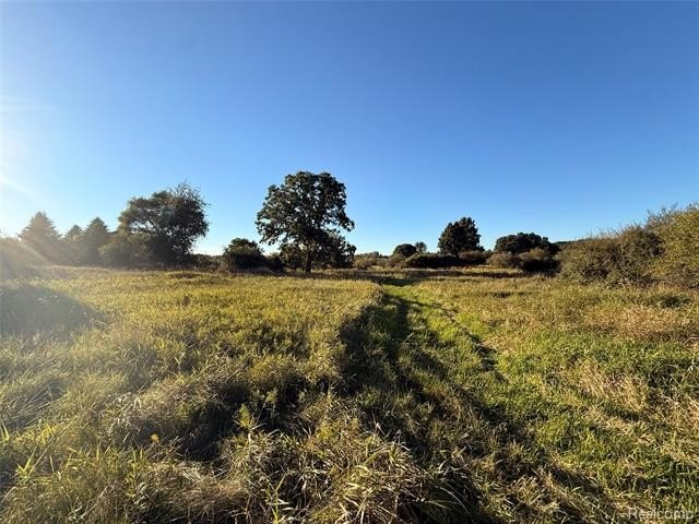 Picture 16