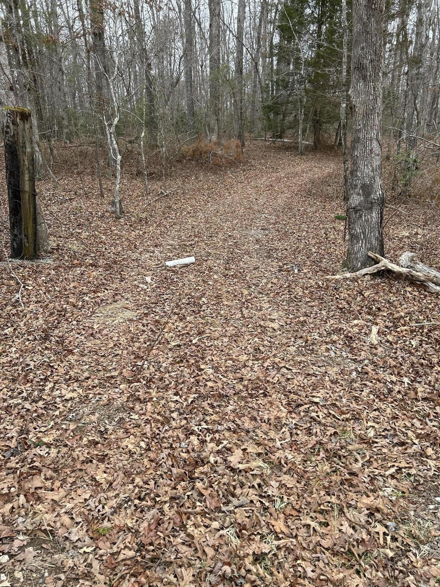 Pikeville Land Near State Park