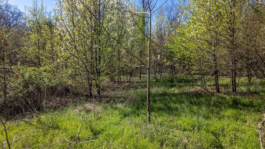 Picture 10