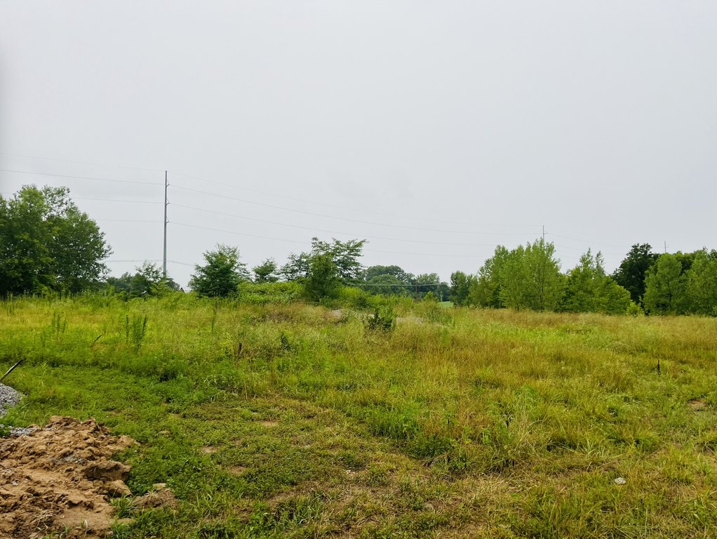 Picture 19