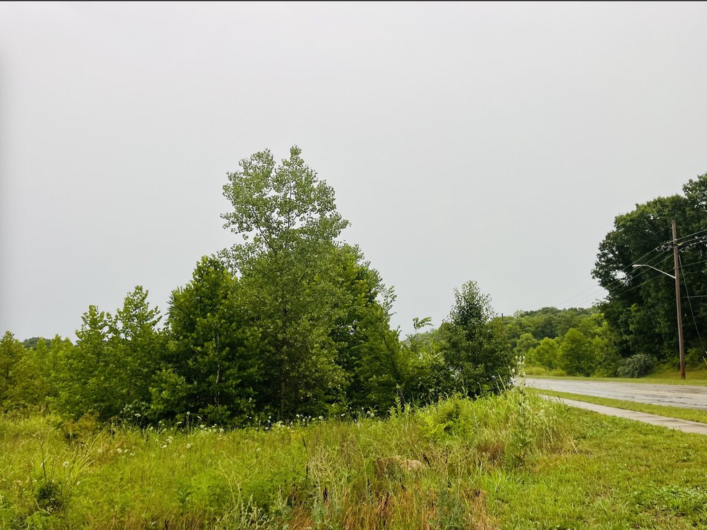 Picture 25