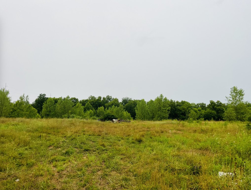 Picture 22