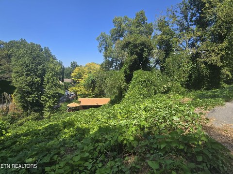 Lots & Acreage, Gatlinburg, TN