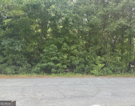 Spacious Land Parcel in Lizella