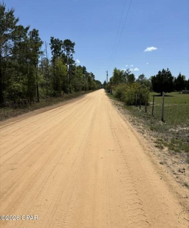 Picture 4